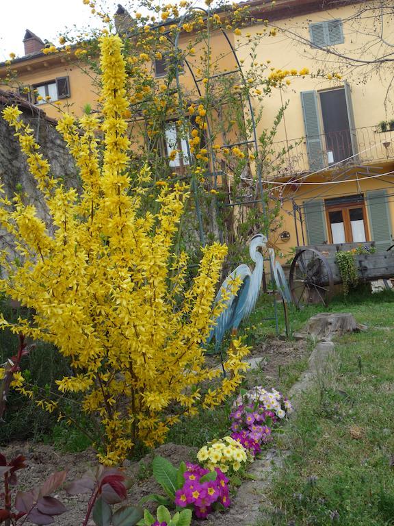L'Adele Bed & Breakfast Occimiano 객실 사진