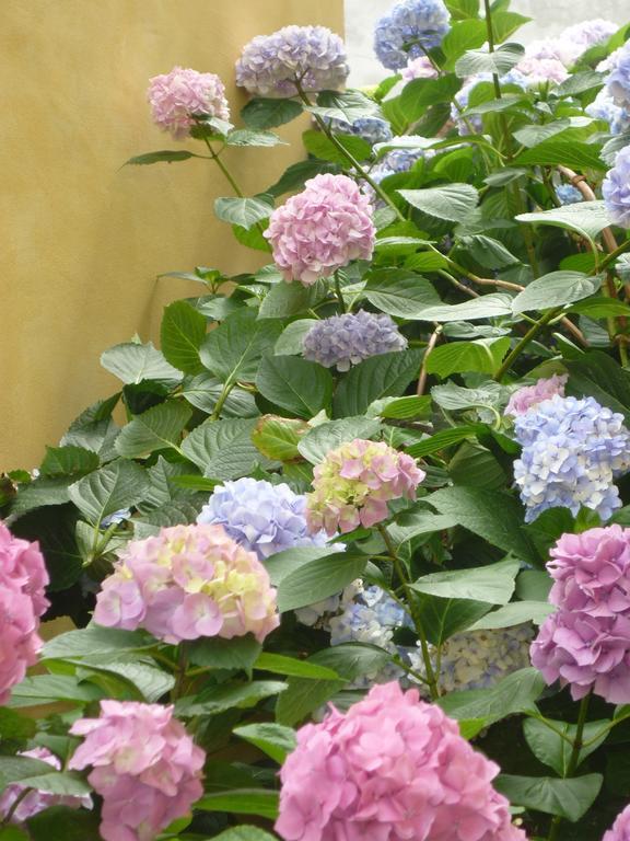 L'Adele Bed & Breakfast Occimiano 외부 사진